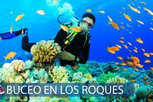 paquetes para bucear en los roques