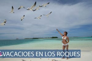 Mejores paquetes vacacionales a los roques