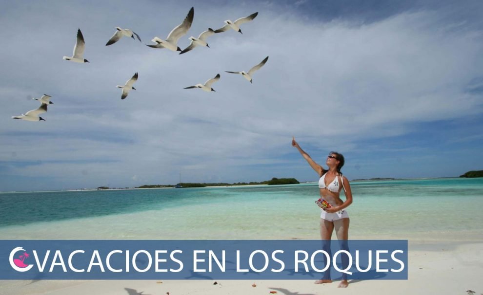 Mejores paquetes vacacionales a los roques